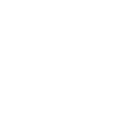 Elusive icon
