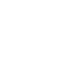 Polearm and Shield icon